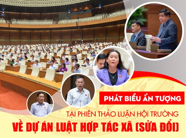 PHÁT BIỂU ẤN TƯỢNG TẠI PHIÊN THẢO LUẬN HỘI TRƯỜNG VỀ DỰ ÁN LUẬT HỢP TÁC XÃ (SỬA ĐỔI)